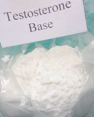 Testosterone Base Powder