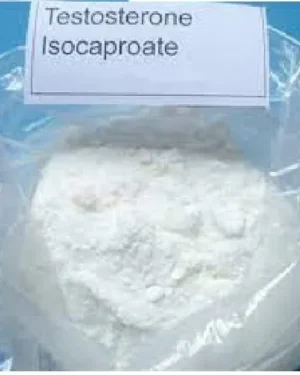 Testosterone isocaproate Powder